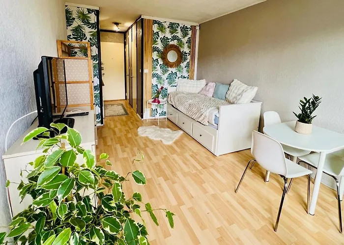 Face Aux Thermes Apartment *